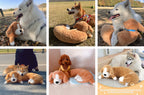 Peluche Snuggy