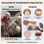 Mochila Explorer