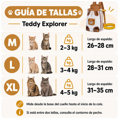 Mochila Explorer