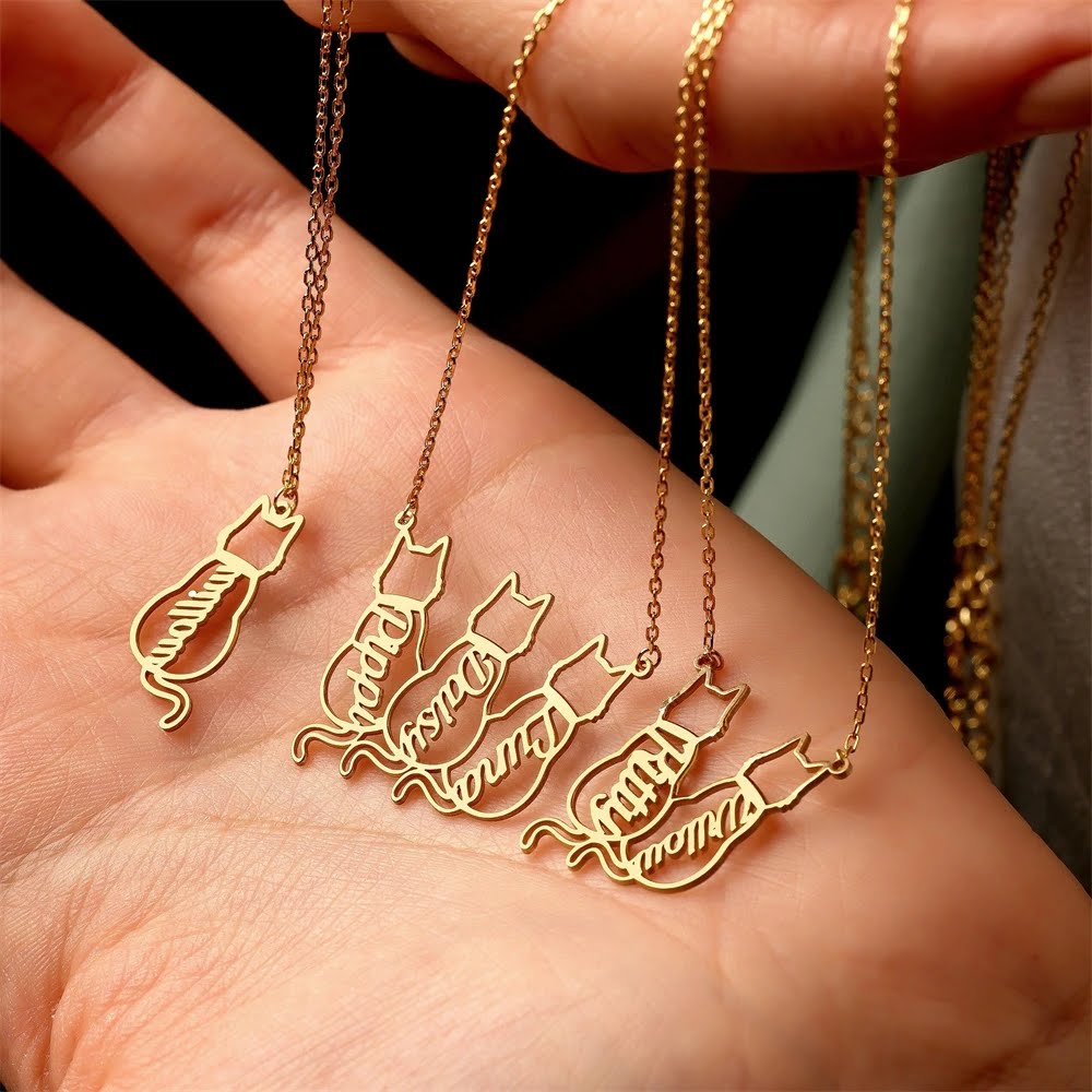 Detalle del collar de gatos personalizado con varios nombres