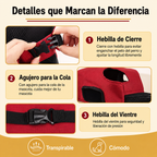 Mochila TeddyPaw